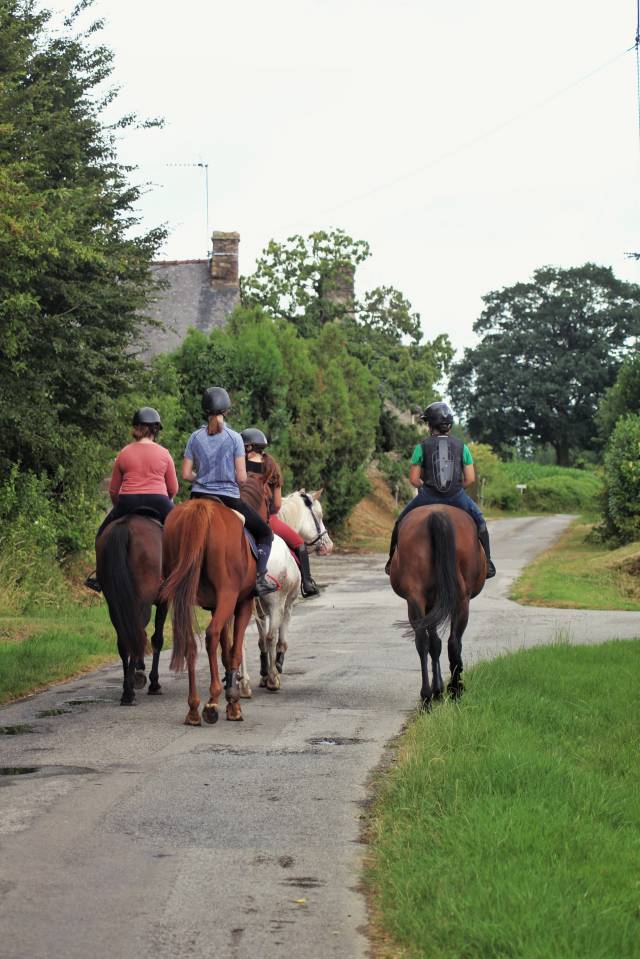 Pension et Dépôt Vente - Écurie de Fly