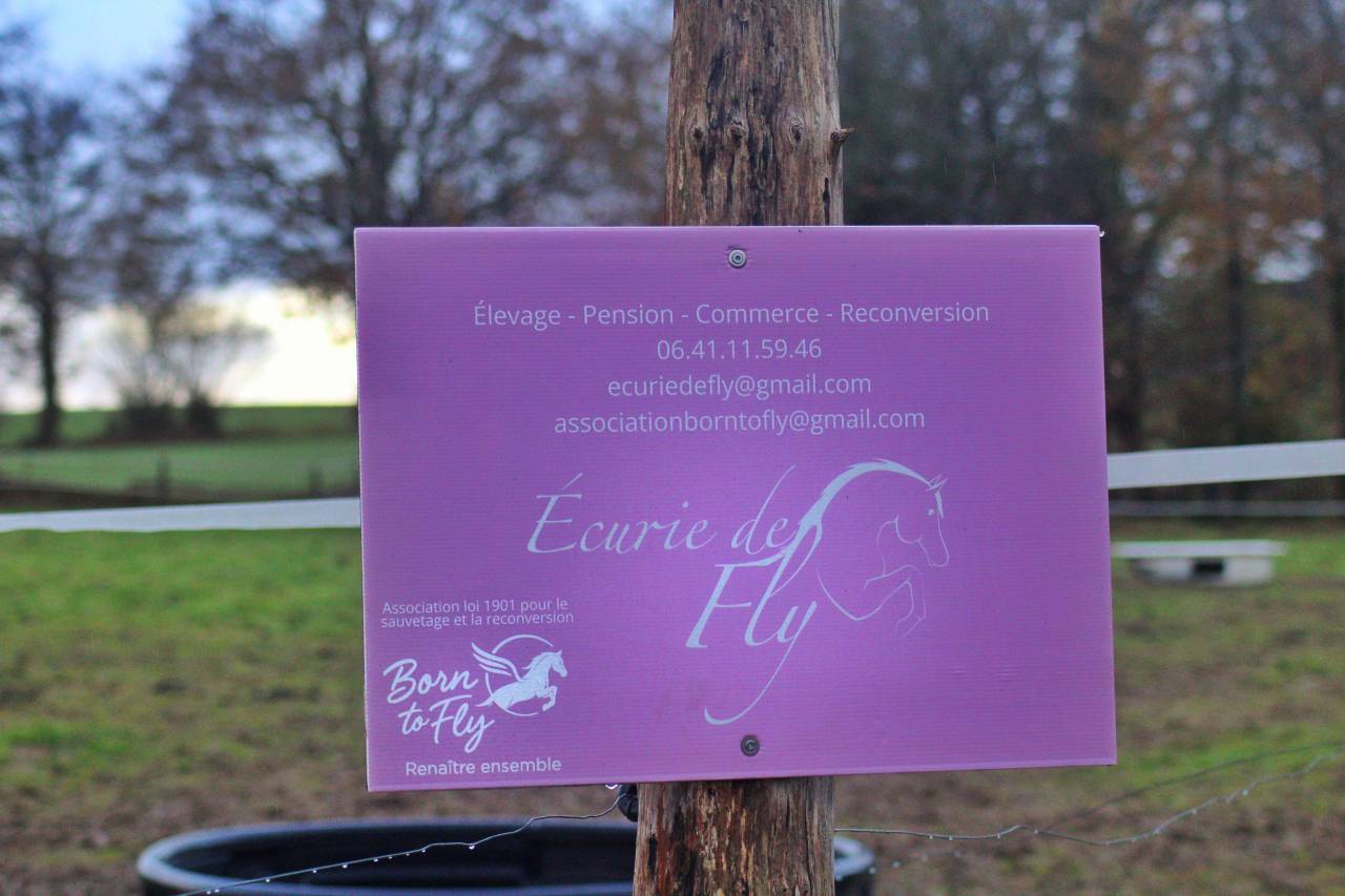 Pension et Dépôt Vente - Écurie de Fly