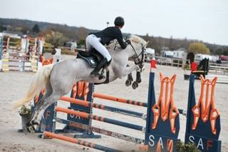 Cheval pour CSO/CCE amateur 