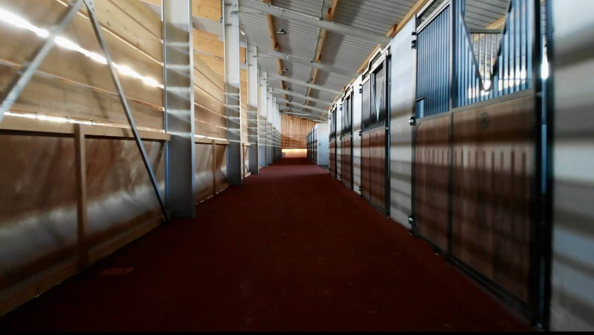 Haras des Halliers