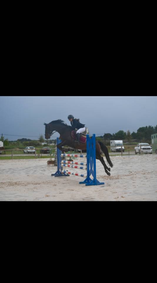 Cheval à prendre en dp/confiage 