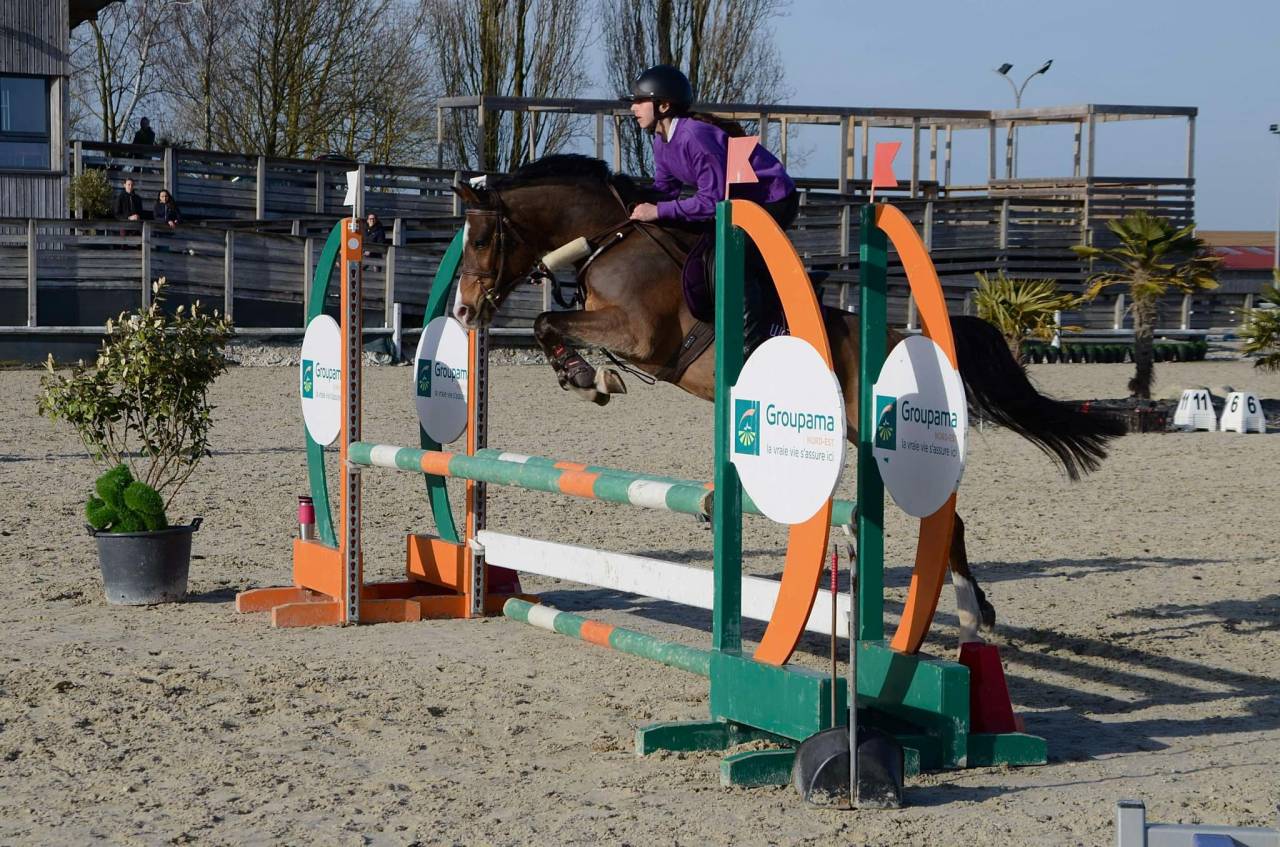 Poney CSO