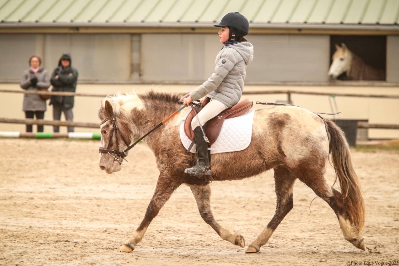 Ponette B 1M27 polyvalente 8 ans