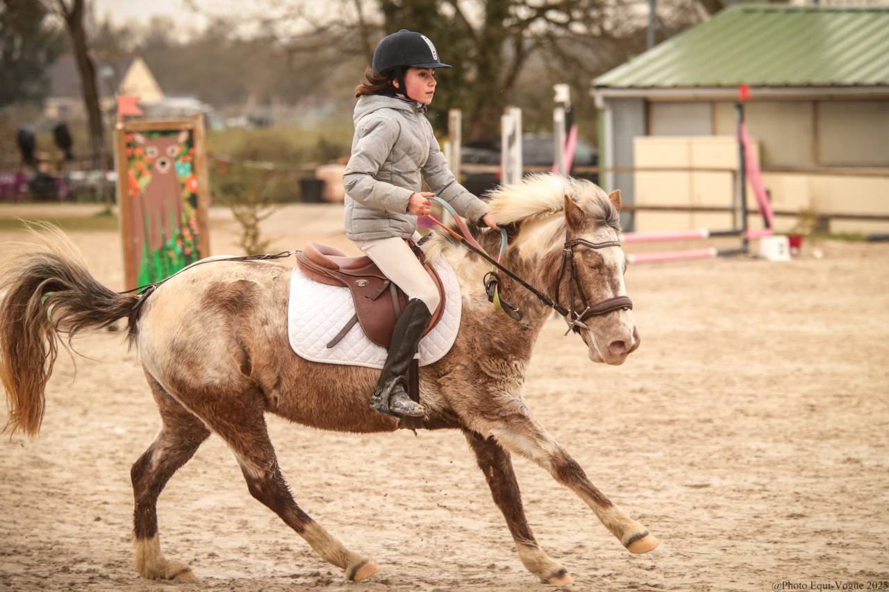 Ponette B 1M27 polyvalente 8 ans