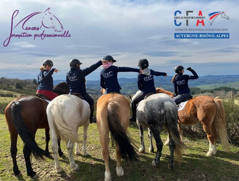 Formation Animateur d'Equitation en apprentissage