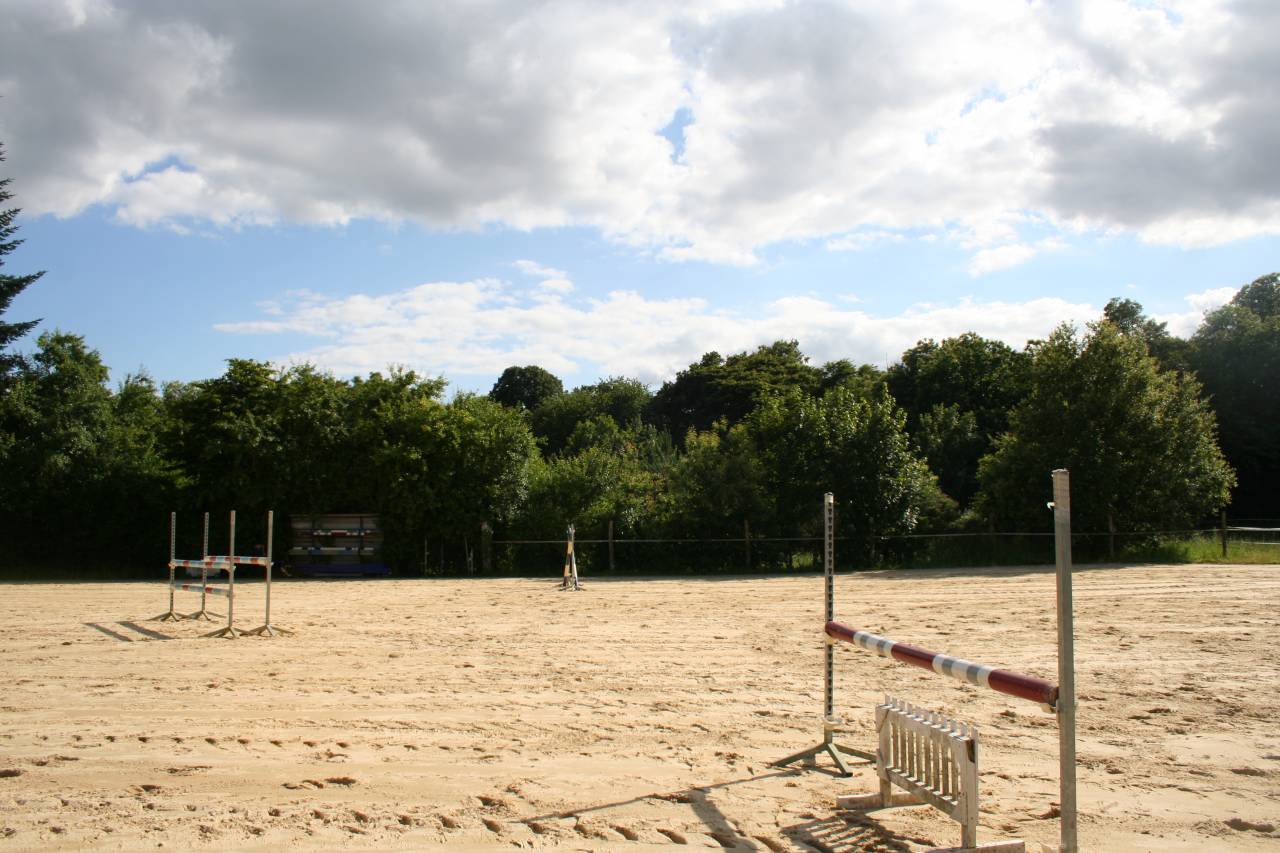 Ecuries des Longères - Pensions de chevaux - Poneys