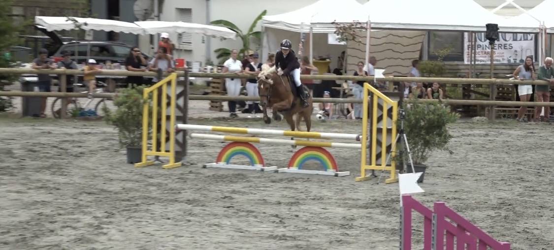 Poney de sport à vendre - pfs de 10 ans 