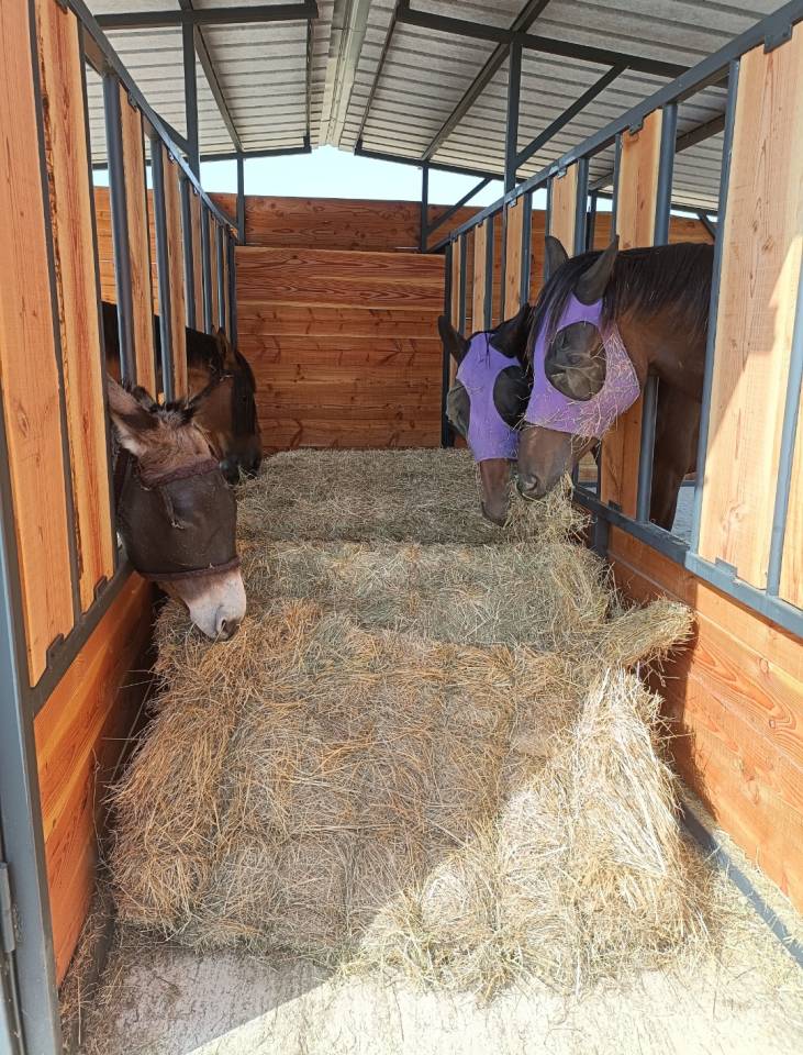 Ouverture &Eacute;curie de propri&eacute;taire &agrave; Chaponnay