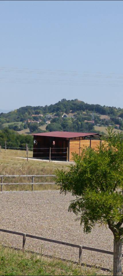 Ouverture &Eacute;curie de propri&eacute;taire &agrave; Chaponnay