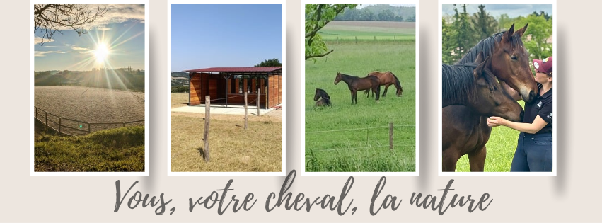 Ouverture &Eacute;curie de propri&eacute;taire &agrave; Chaponnay