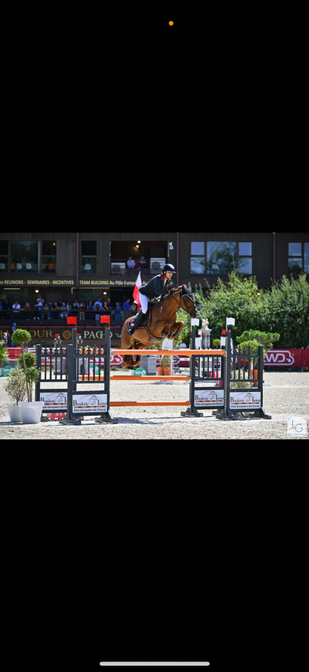 Poney d’exception disponible à la vente. 