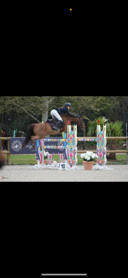 Poney d’exception disponible à la vente. 