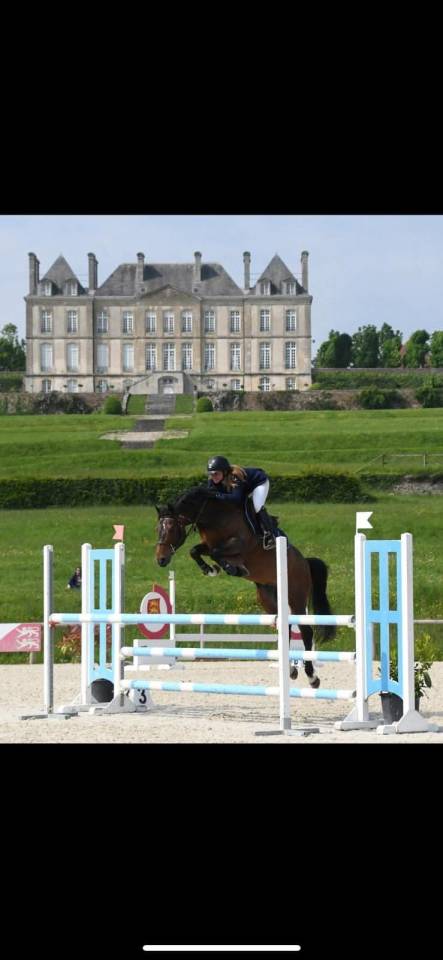 Poulain Mâle PFS par LINARO SL 