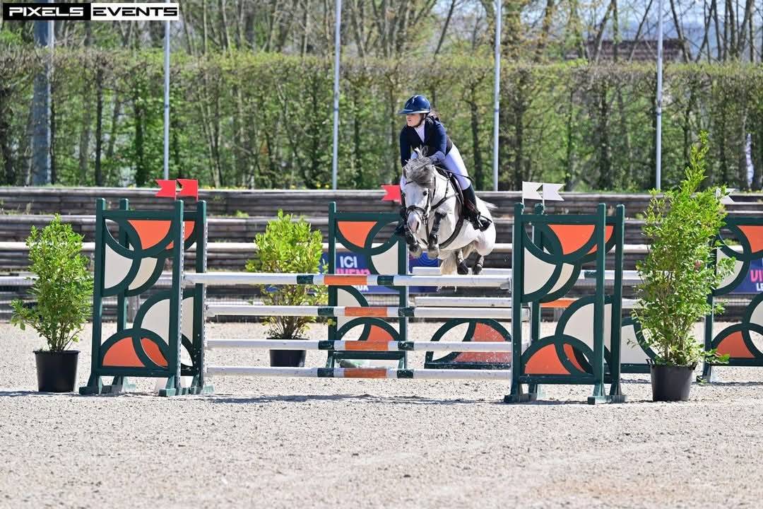 Poulain Mâle PFS par LINARO SL 