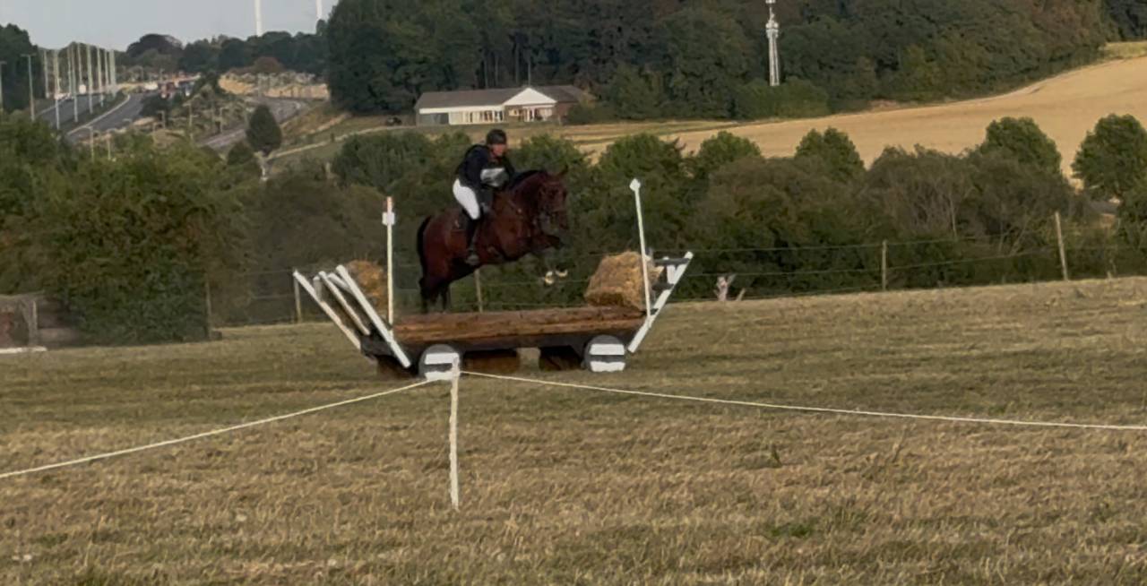 Chouette cheval polyvalent 