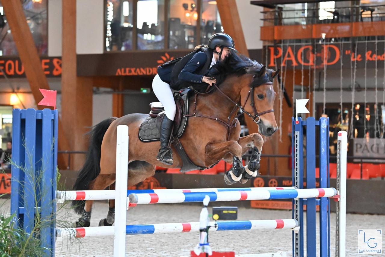 À vendre poney CSO 