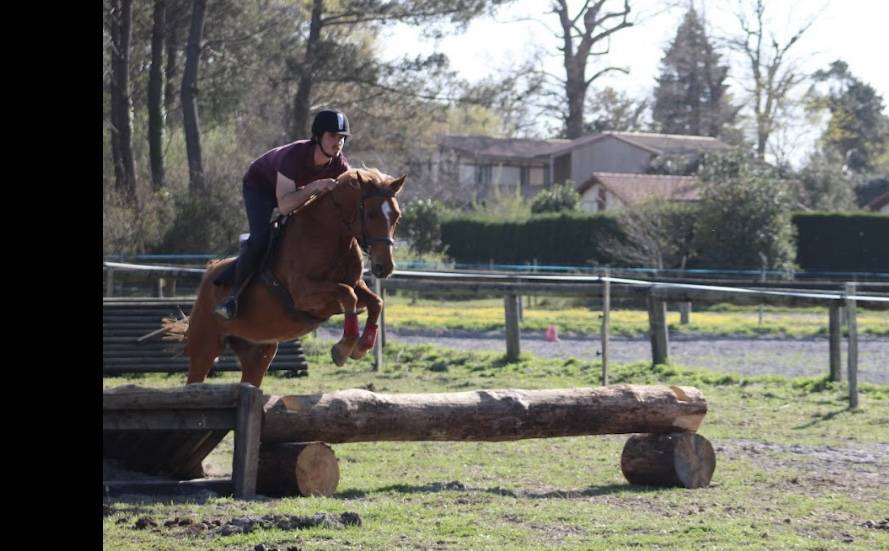Poney de sport
