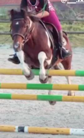 Poney C 