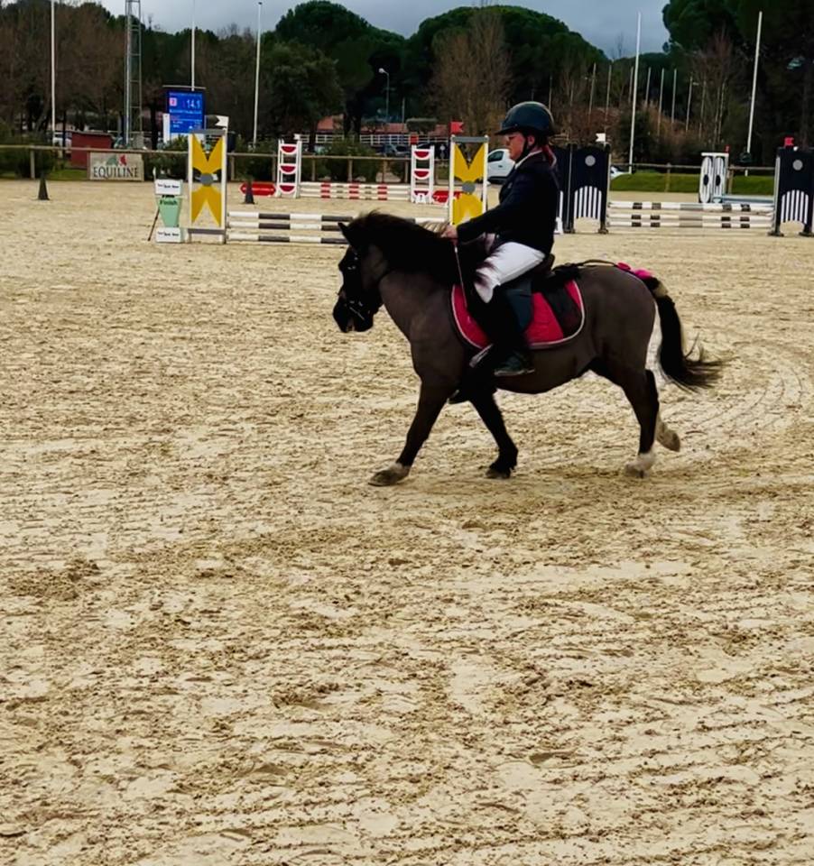 Poney 