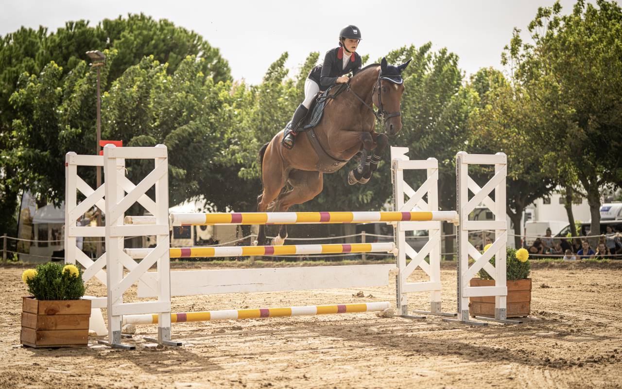 FANTASTIQUE JUMENT DE SPORT 7ANS - CSO ULTRA RESPECT