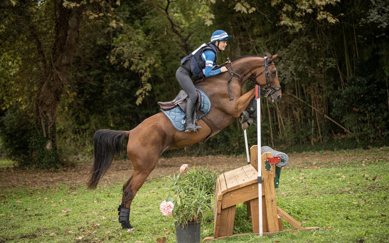 FANTASTIQUE JUMENT DE SPORT 7ANS - CSO ULTRA RESPECT