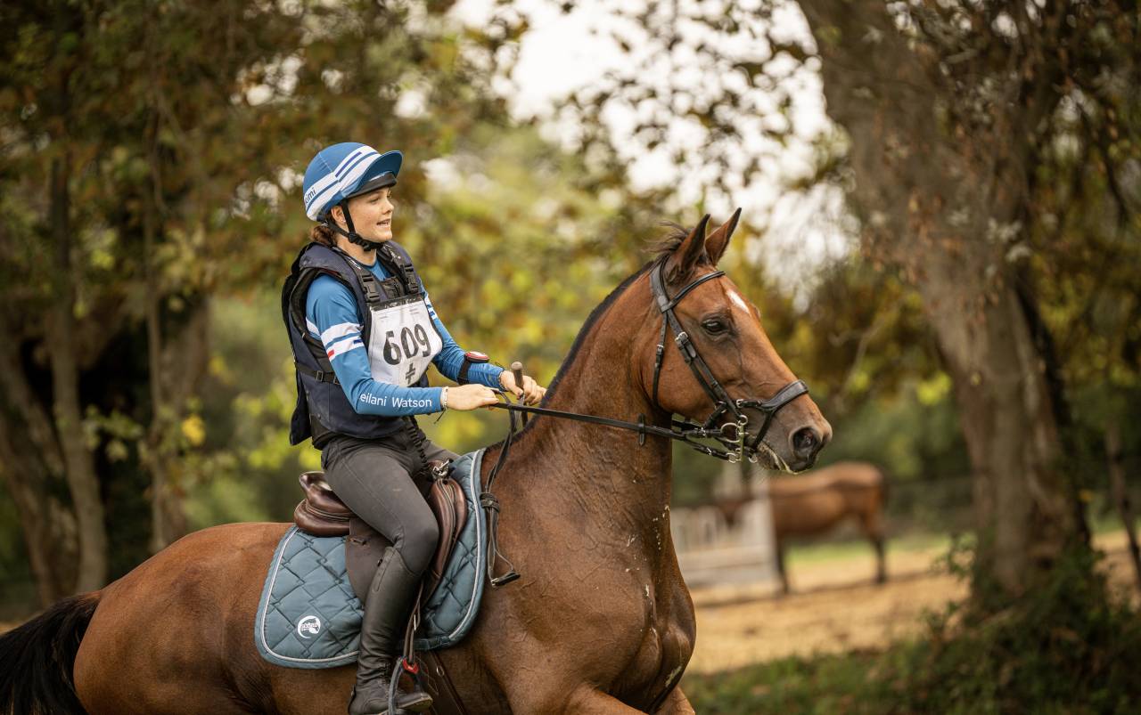 FANTASTIQUE JUMENT DE SPORT 7ANS - CSO ULTRA RESPECT