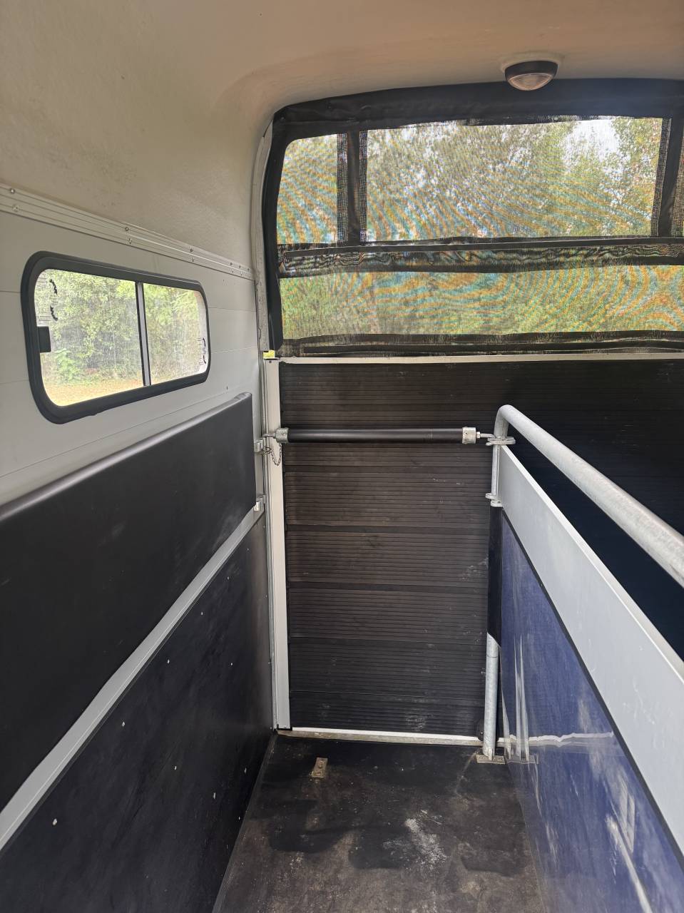 Van cheval liberté Gold 3 2023