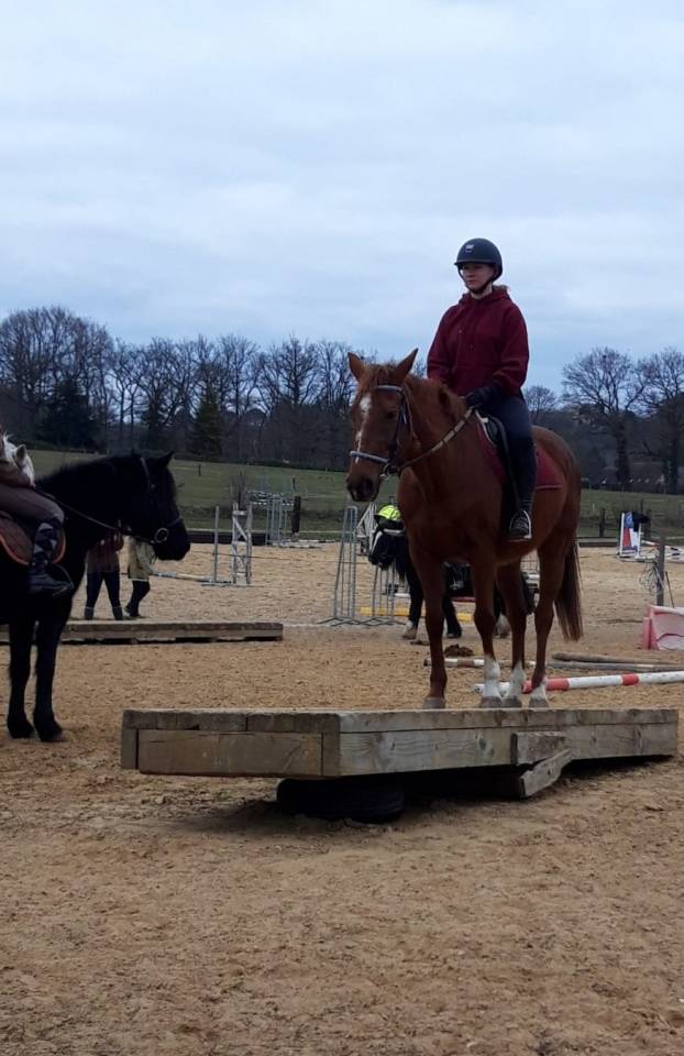 Secrétariat et/ou cavalière - CDI en IDF