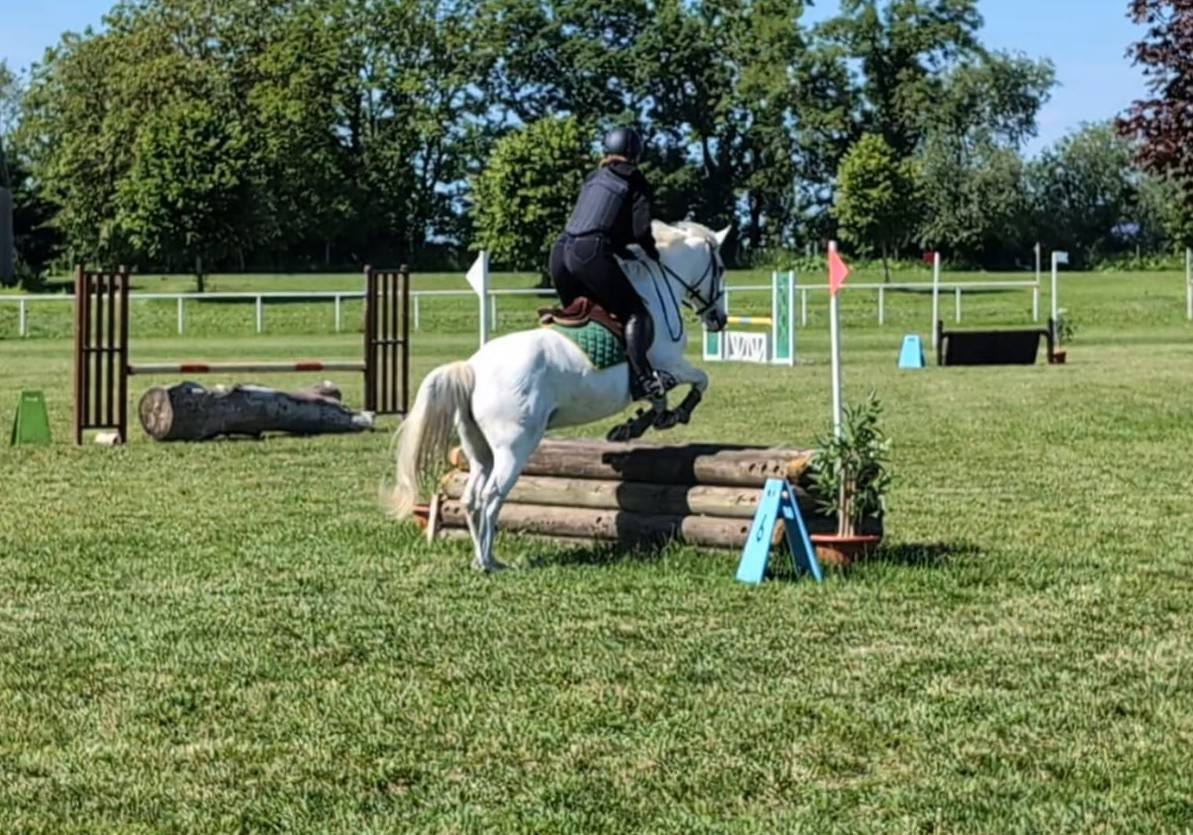 Secrétariat et/ou cavalière - CDI en IDF