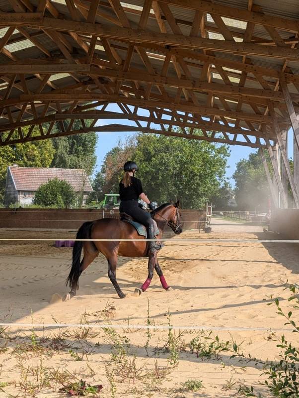 Secrétariat et/ou cavalière - CDI en IDF