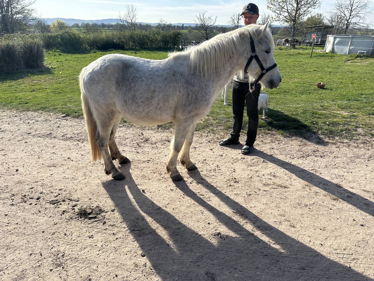 Poney ONC