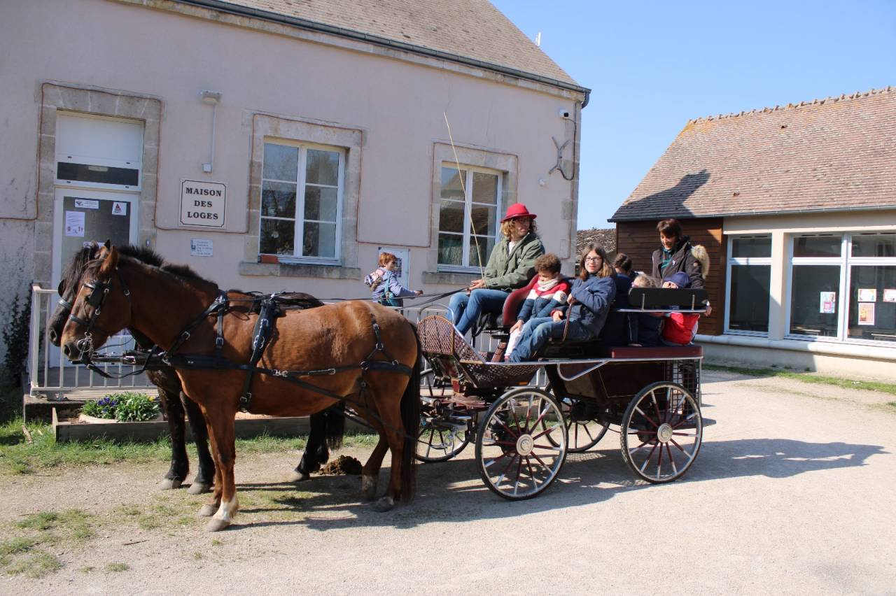 Calèche 6 places adultes d'environ 20 ans