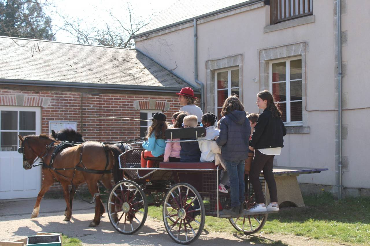 Calèche 6 places adultes d'environ 20 ans
