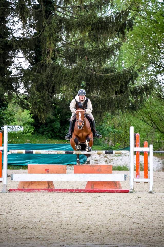 ponette à vendre 