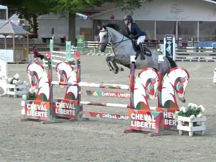 Jument de sport de 5ans