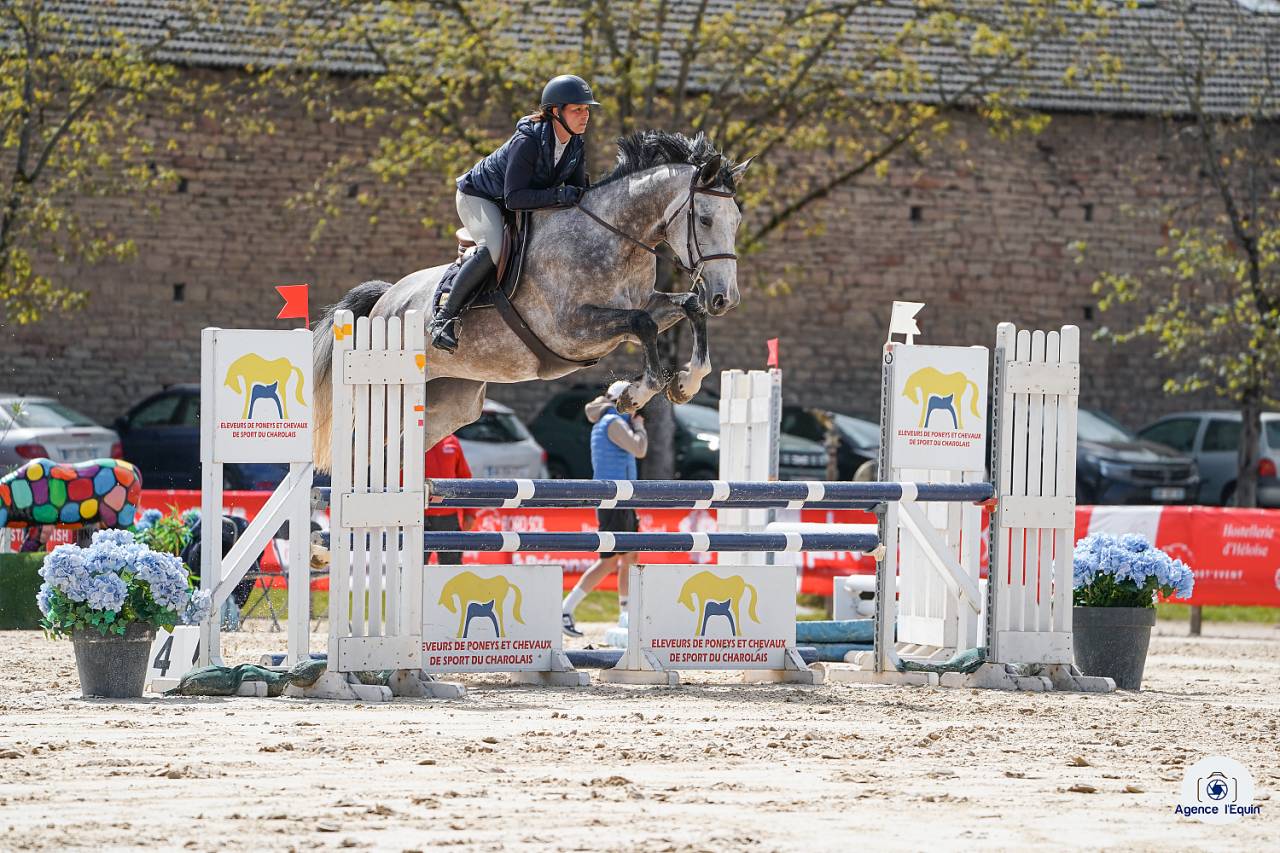 Jument de sport de 5ans