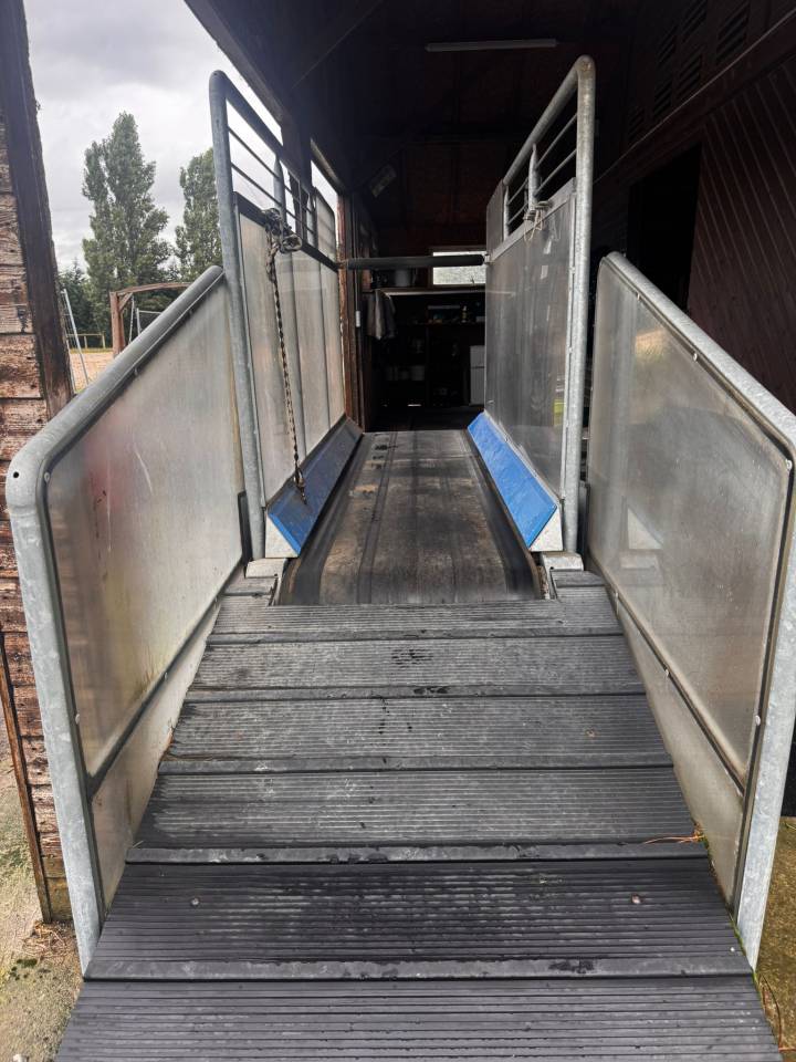 Tapis roulant HORSE GYM 2000 avec Balance de pesée 