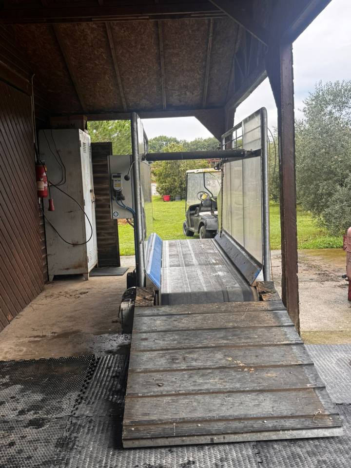 Tapis roulant HORSE GYM 2000 avec Balance de pesée 