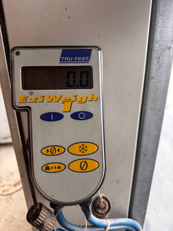 Tapis roulant HORSE GYM 2000 avec Balance de pesée 