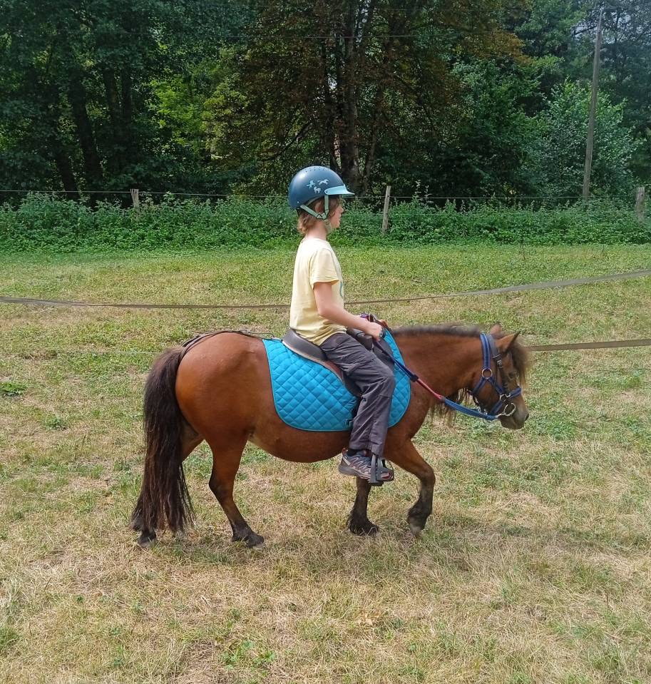 Poney shetland