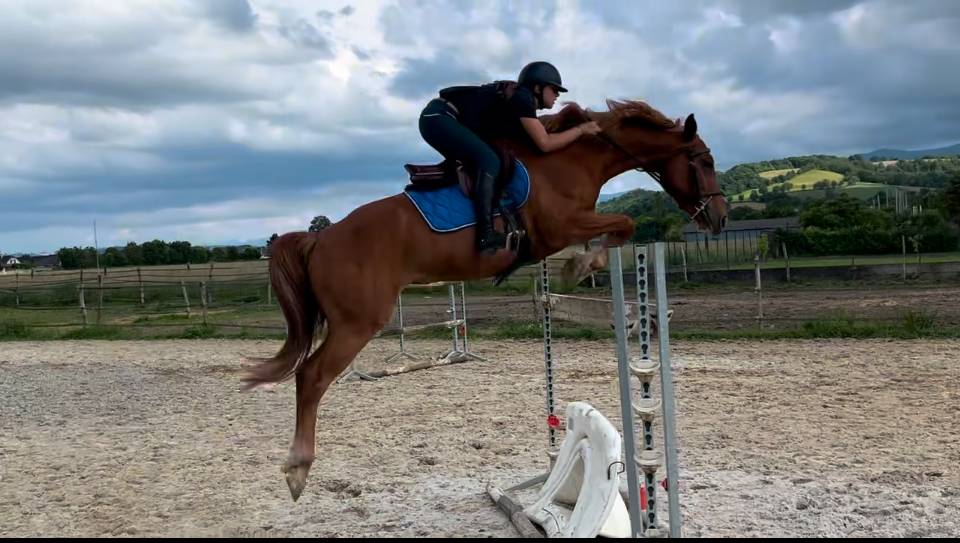 Hermès de l estang, 8 ans