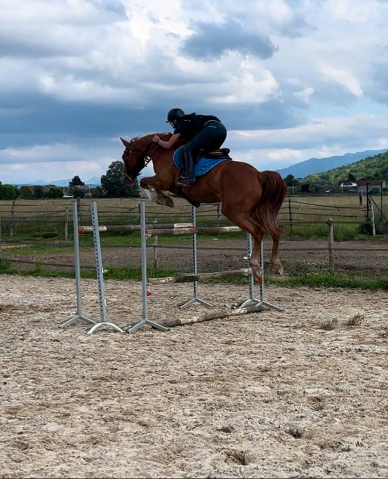 Hermès de l estang, 8 ans