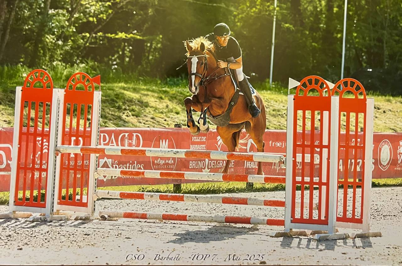 Hermès de l estang, 8 ans