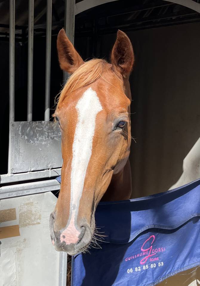 Hermès de l estang, 8 ans