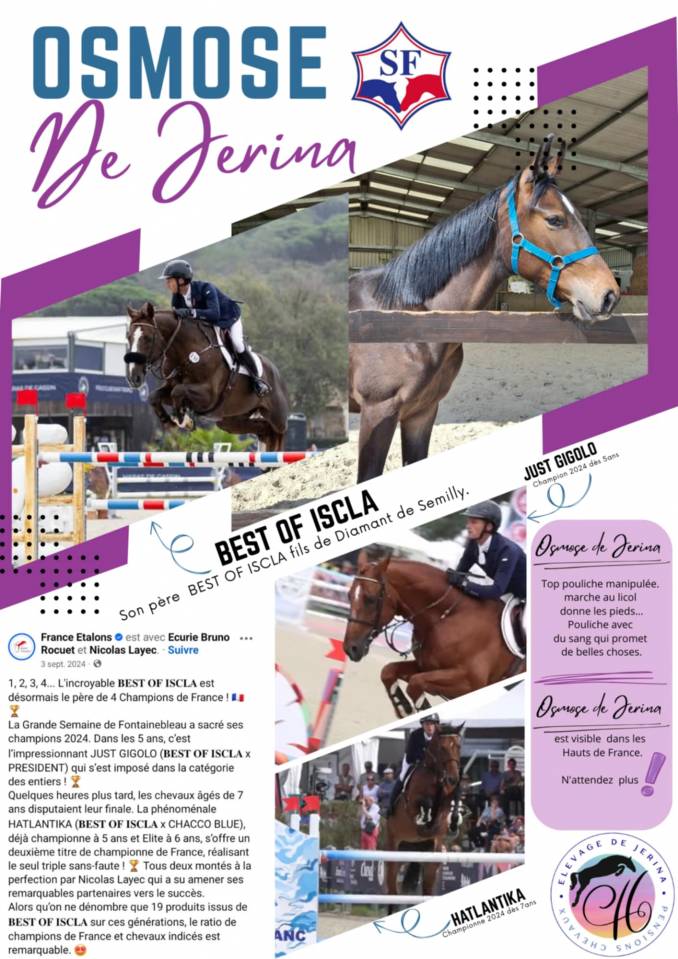 1 an fille de Best of iscla par Diamant de semilly