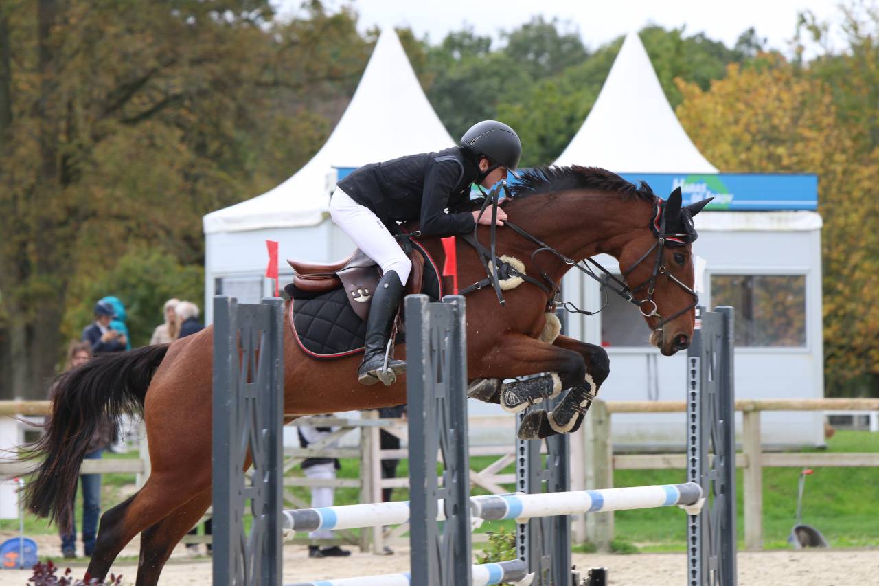 DEMI PENSION ITTEVILLE 91 ESSONNE CSO cheval ou poney