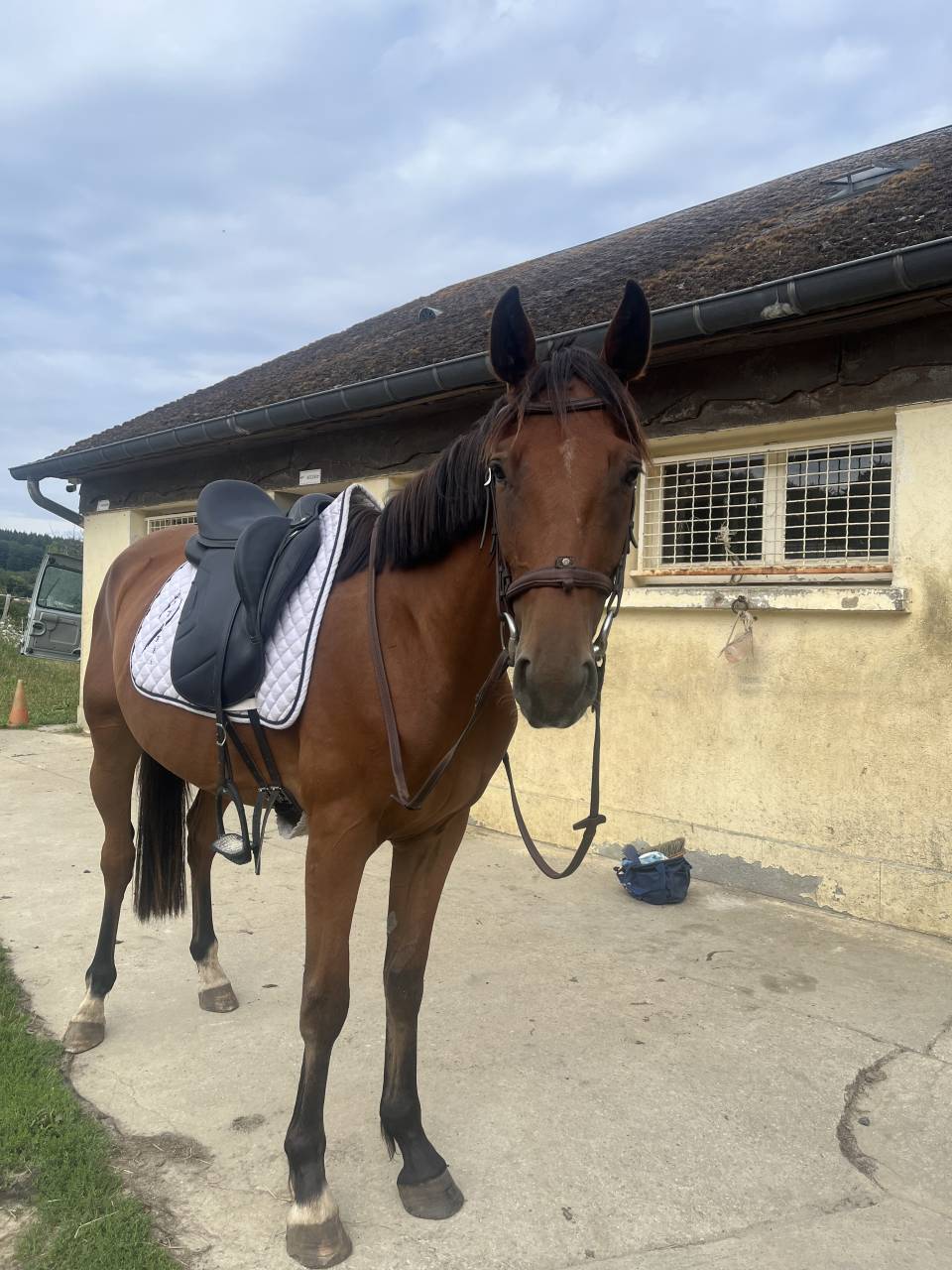 Trotteur de 3 ans 