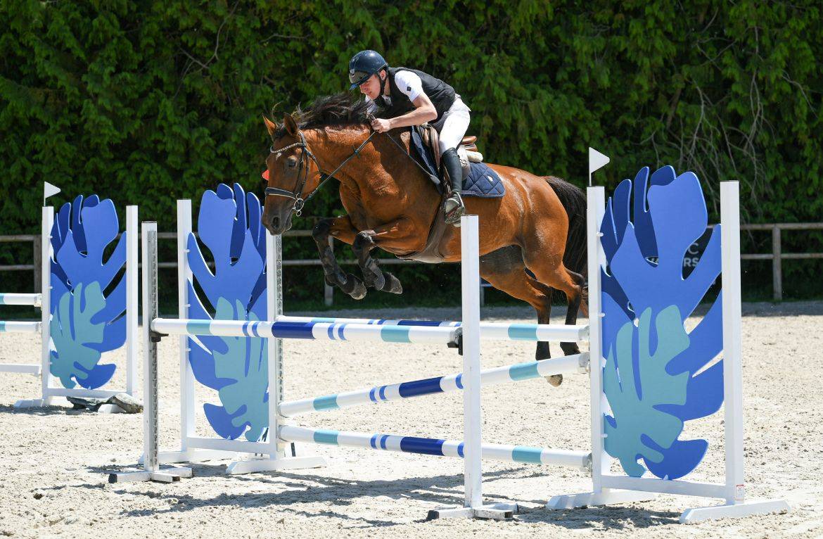 DEMI PENSION ITTEVILLE 91 ESSONNE CSO cheval ou poney