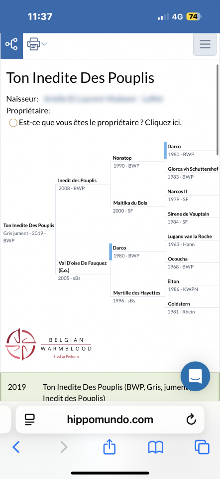Jument de 6 ans pour poulinière 