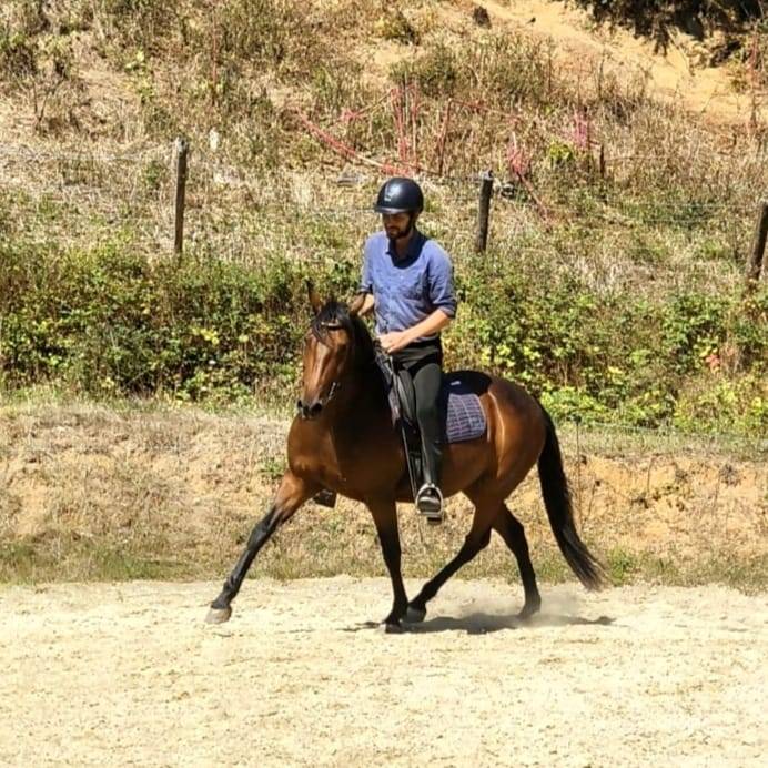 Garrida, F, Lus, 9 ans